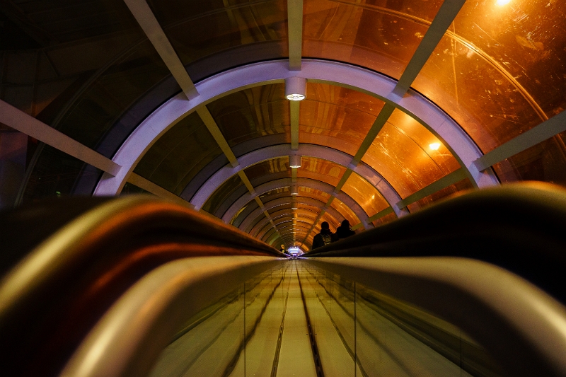 Nicolae Costandache - Fantezie.jpg